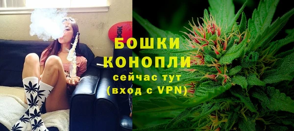 тгк Бородино