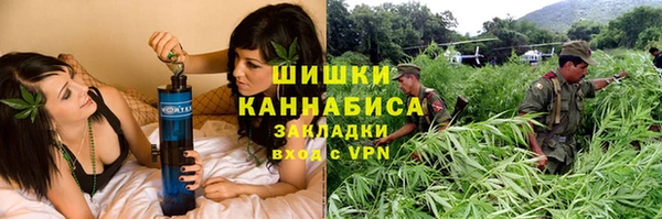 винт Бронницы