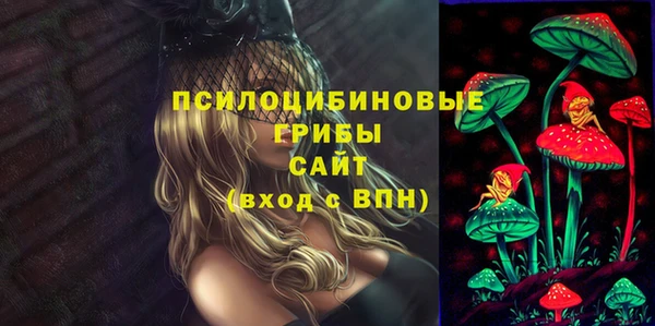 винт Бронницы