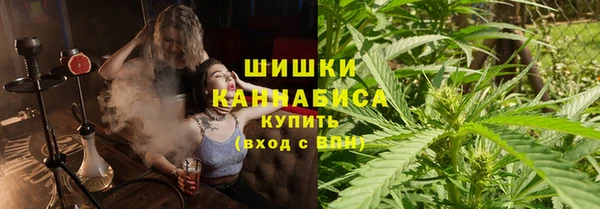 тгк Бородино