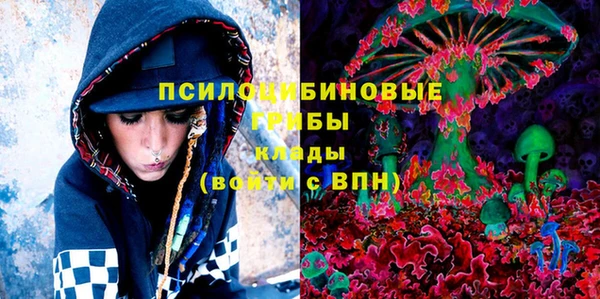 тгк Бородино