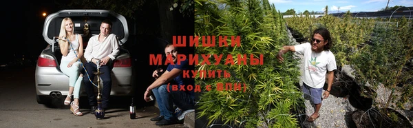 винт Бронницы