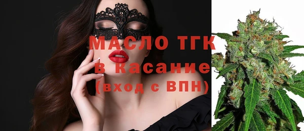тгк Бородино