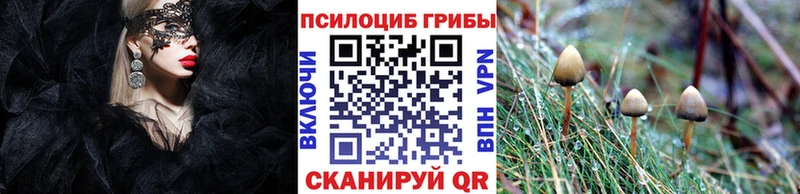 где можно купить Касимов Псилоцибиновые грибы MAGIC MUSHROOMS